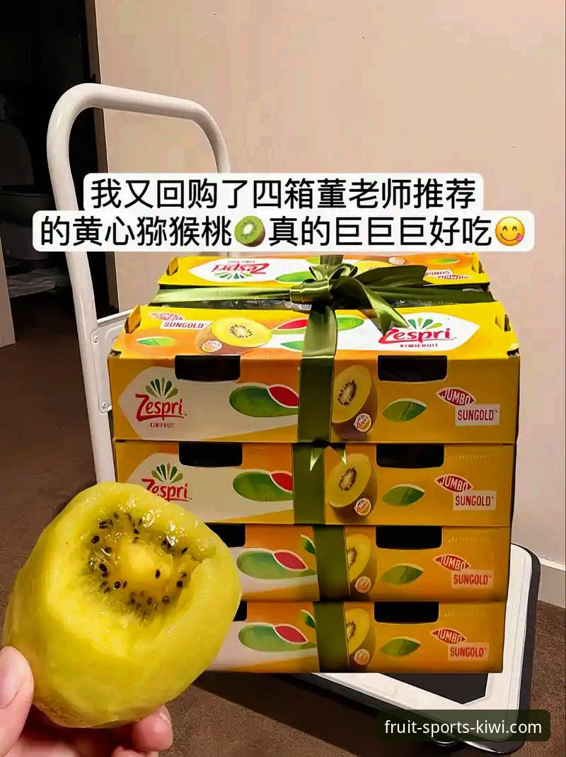 奇异果体育平台客户端体验评测：2025新版功能与操作全指南