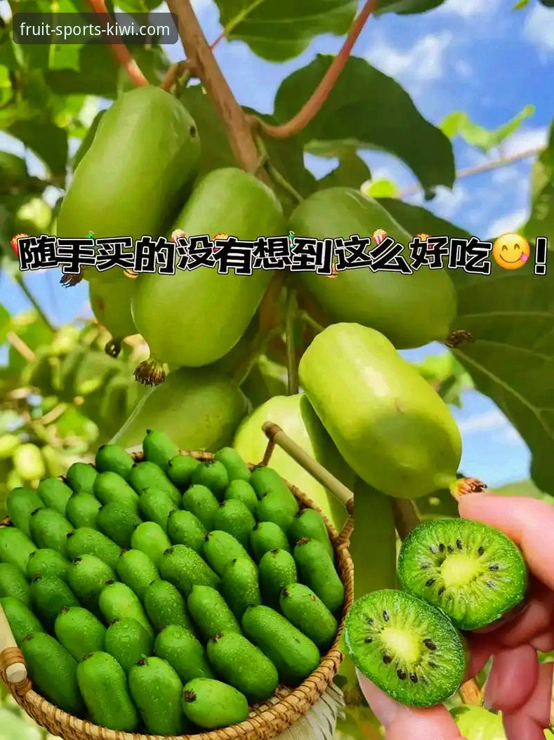 资深用户分享：奇异果体育平台手机版登录iOS版操作心得与实战经验