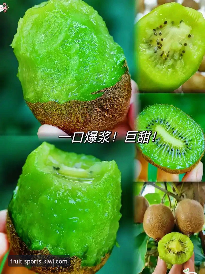 奇异果体育平台下载安装 奇异果体育平台下载安装实用指南:从注册到上手只需5分钟